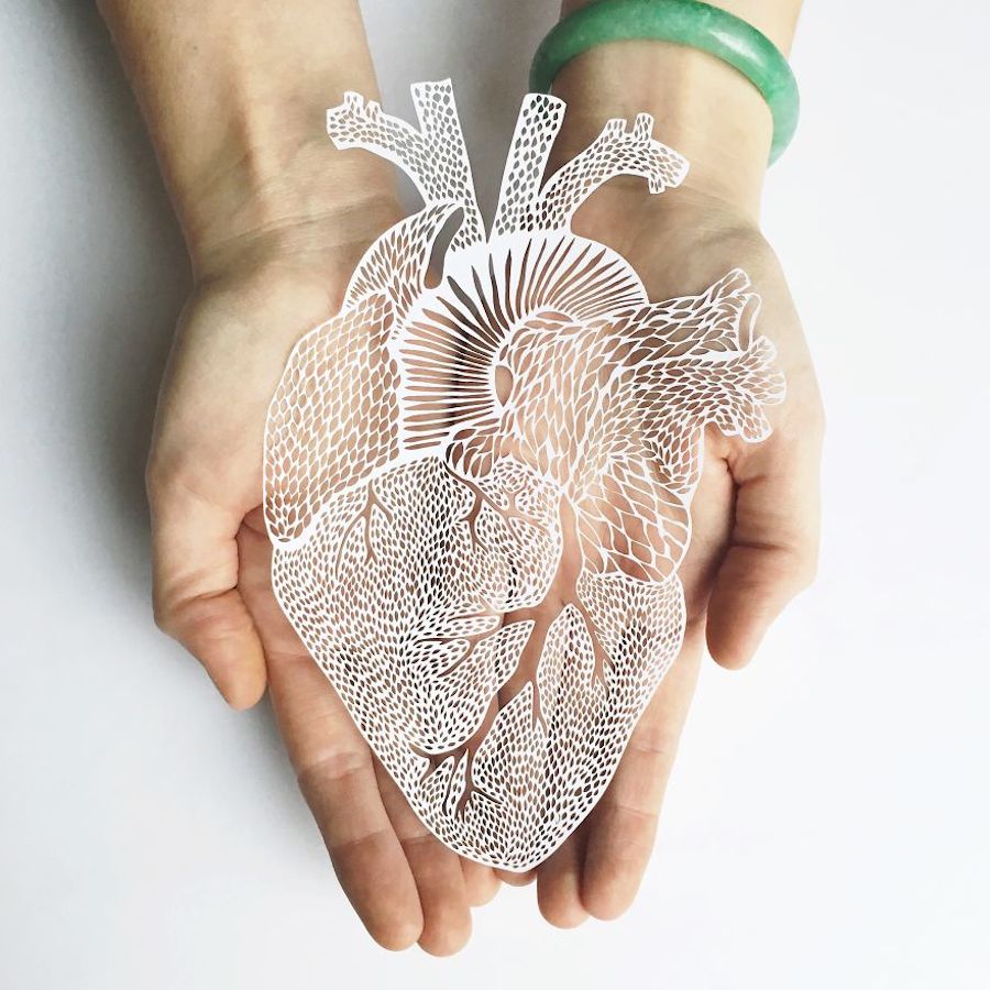 Incredibly Accurate Papercuts of Organs-1