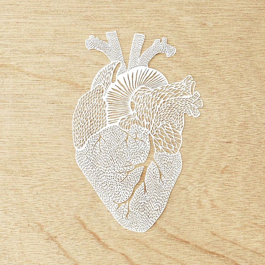 Incredibly Accurate Papercuts of Organs-3
