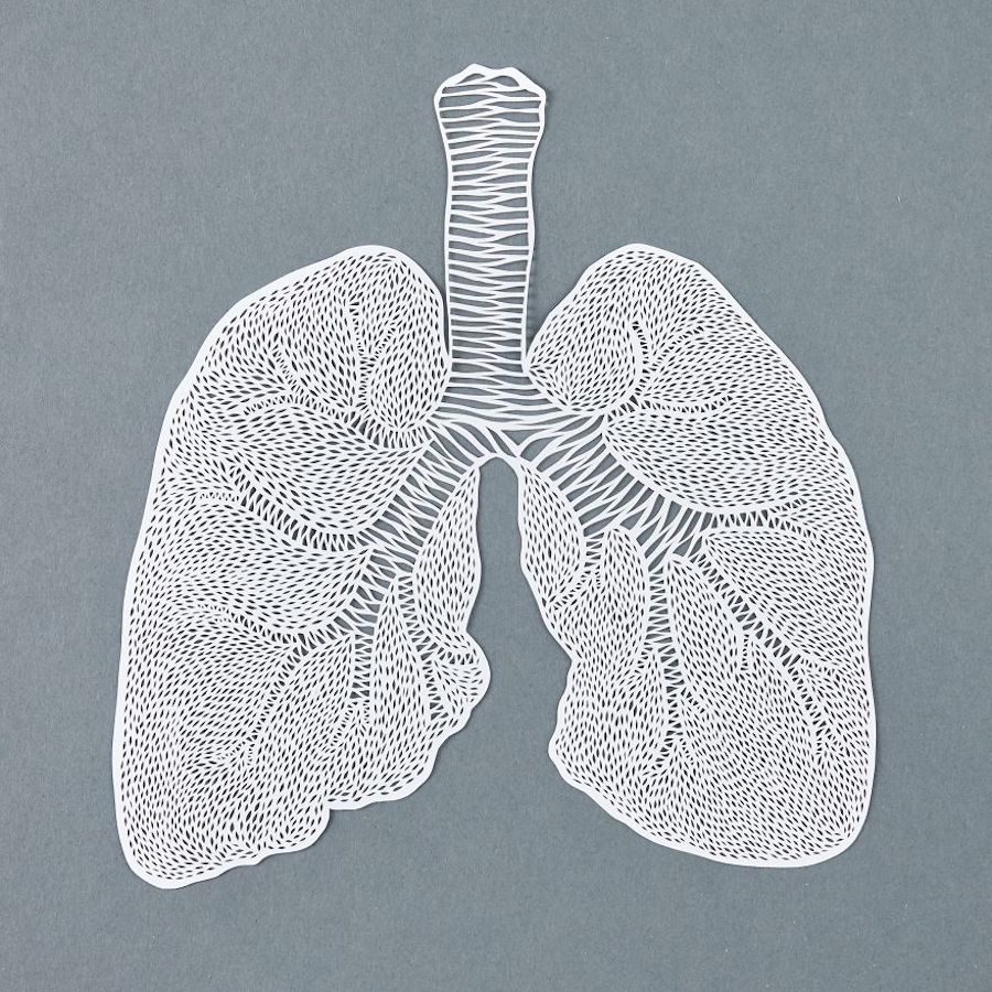 Incredibly Accurate Papercuts of Organs-9