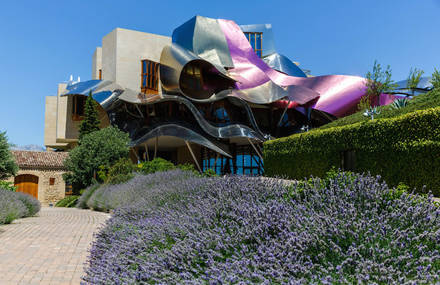 Franck Ghery Hotel in Spain Vineyards