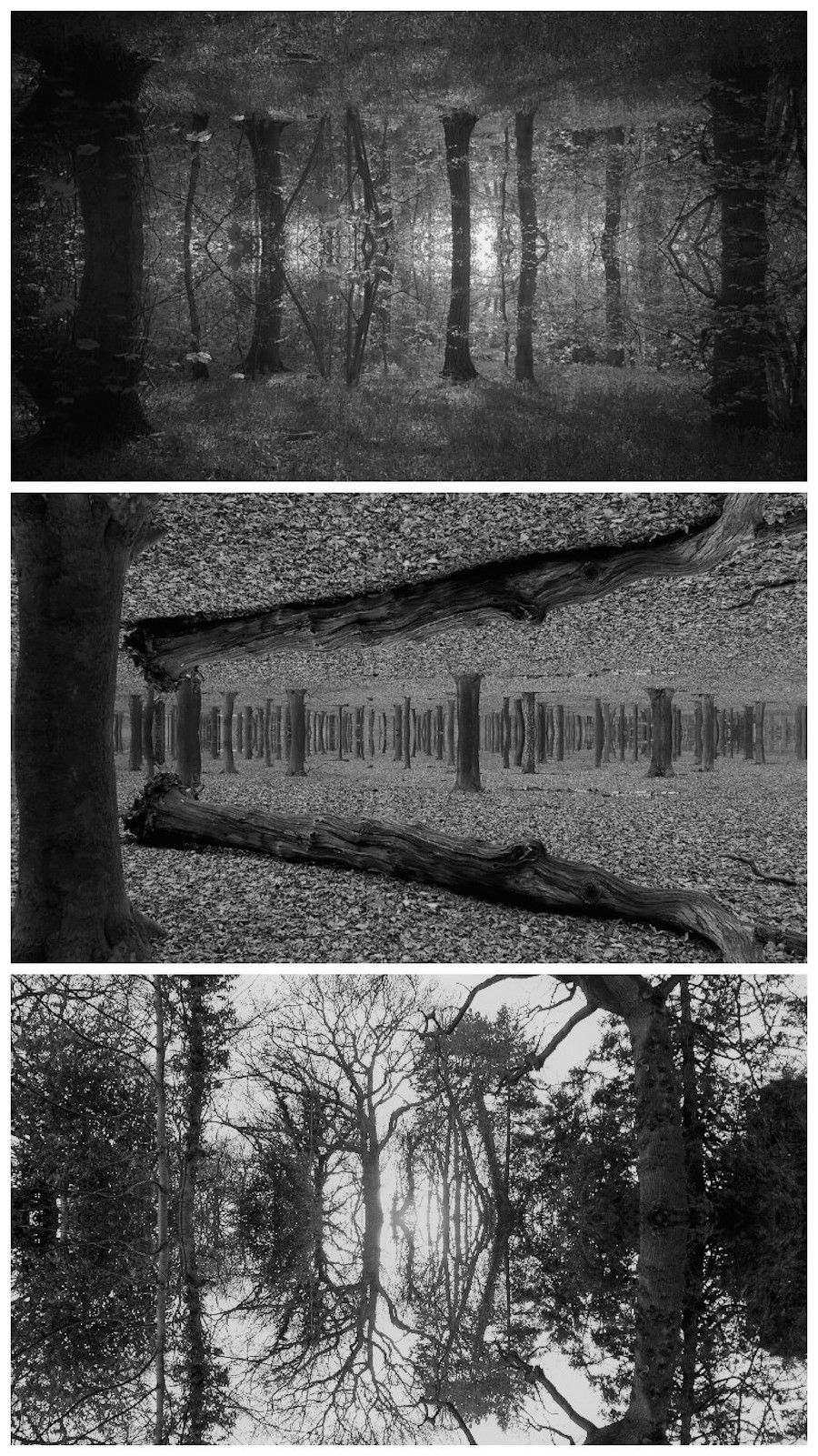 Mirror Landscapes in Black and White-3