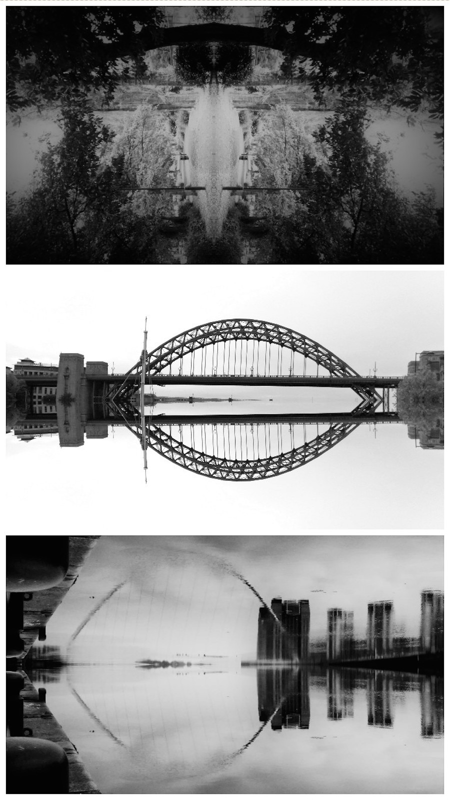 Mirror Landscapes in Black and White-4