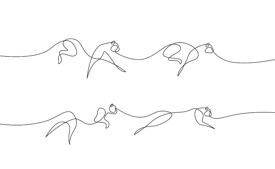 New Series of Animals in One Line by Differantly-0