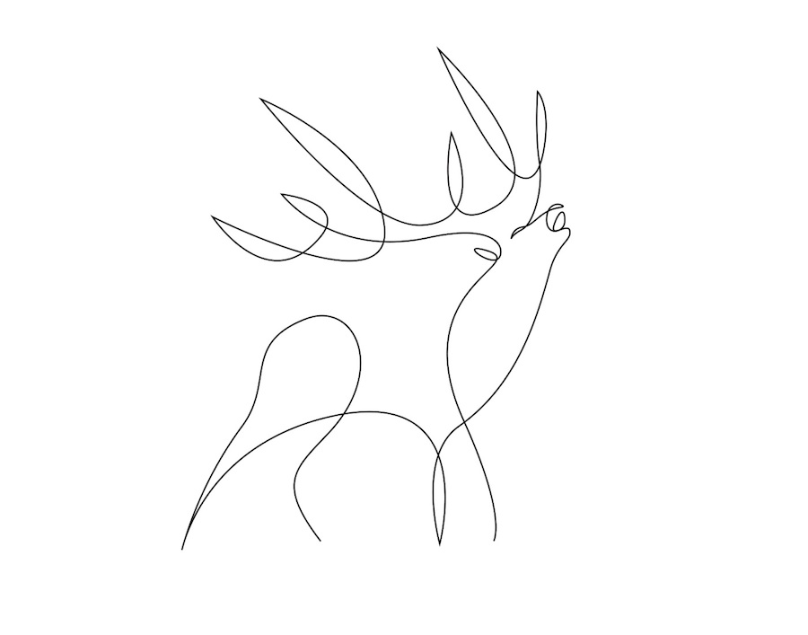 New Series of Animals in One Line by Differantly-14