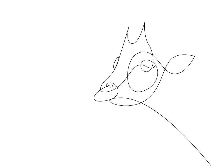 New Series of Animals in One Line by Differantly-5