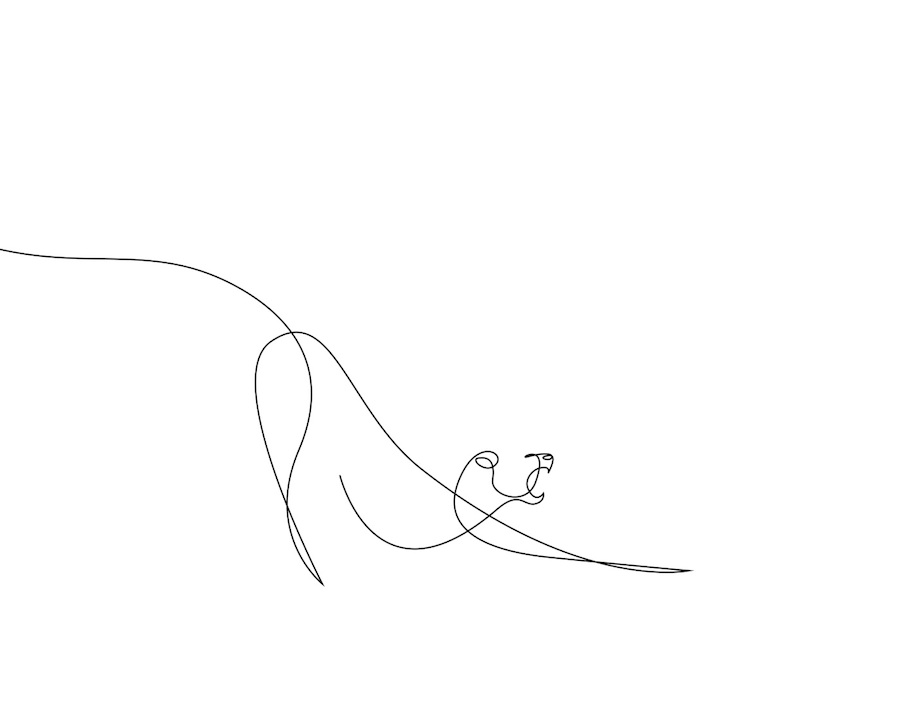 New Series of Animals in One Line by Differantly-6