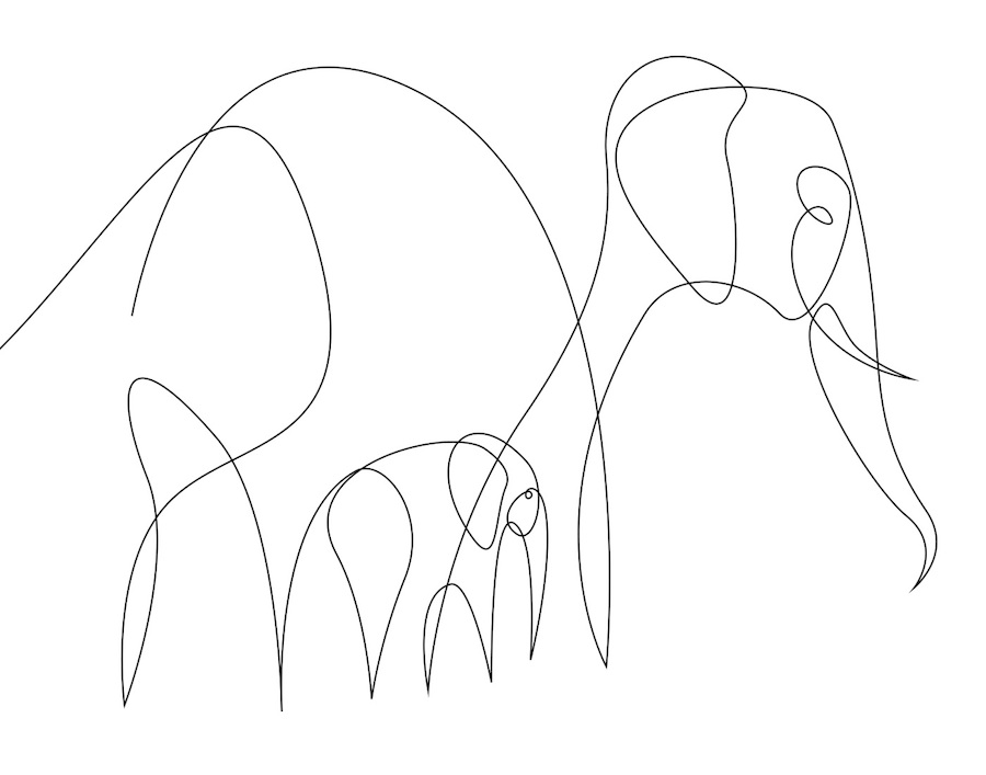 New Series of Animals in One Line by Differantly-9