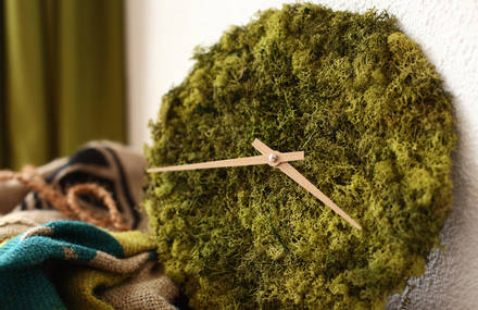 Stylish Clock and Ceiling Lights Covered with Icelandic Moss