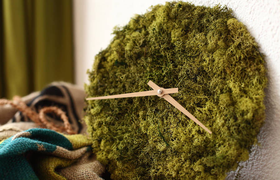 Stylish Clock and Ceiling Lights Covered with Icelandic Moss