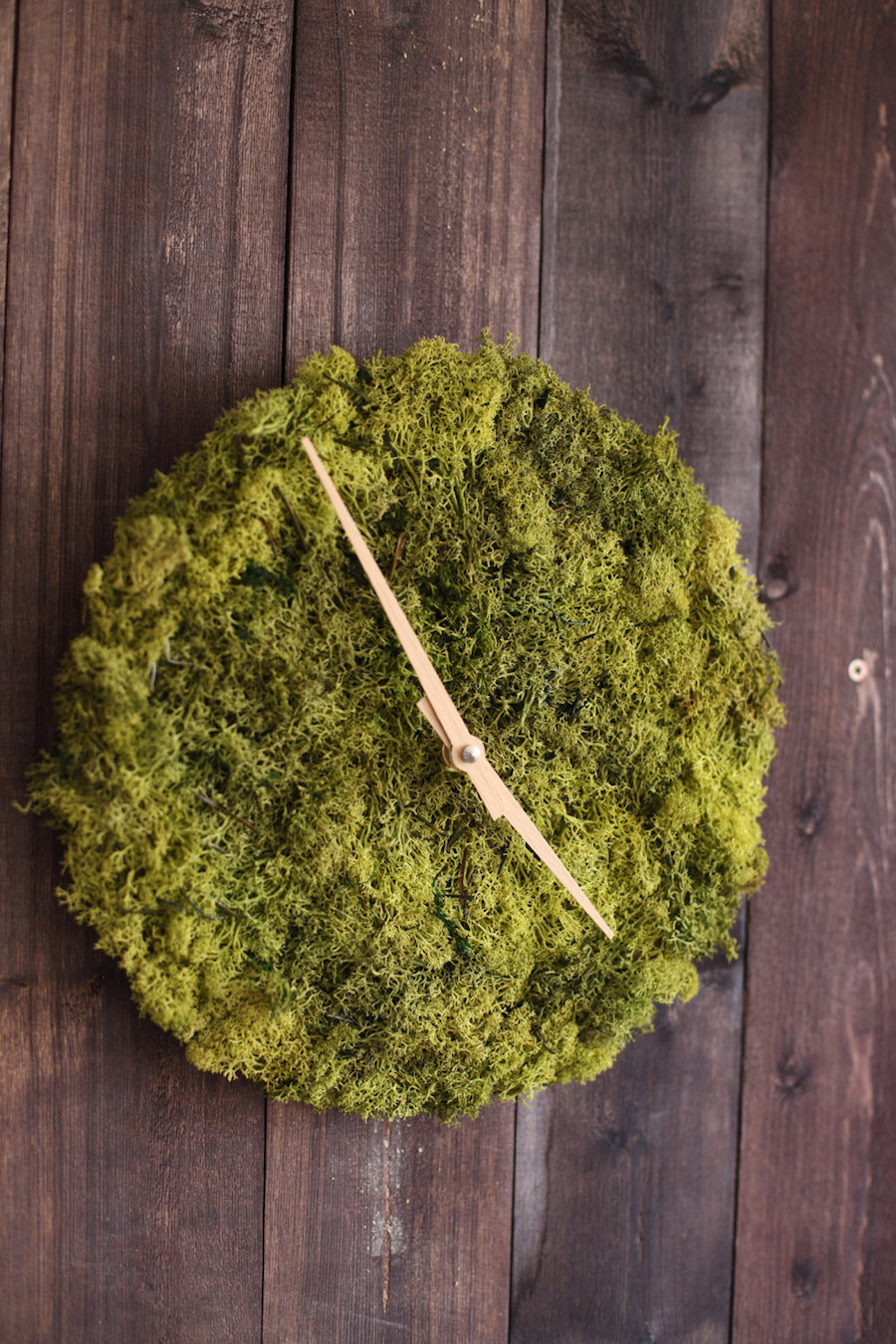 Stylish Clock and Pendant Covered with Icelandic Moss-6