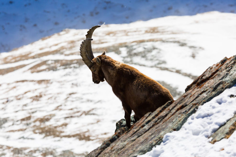Zermatt, Switzerland4