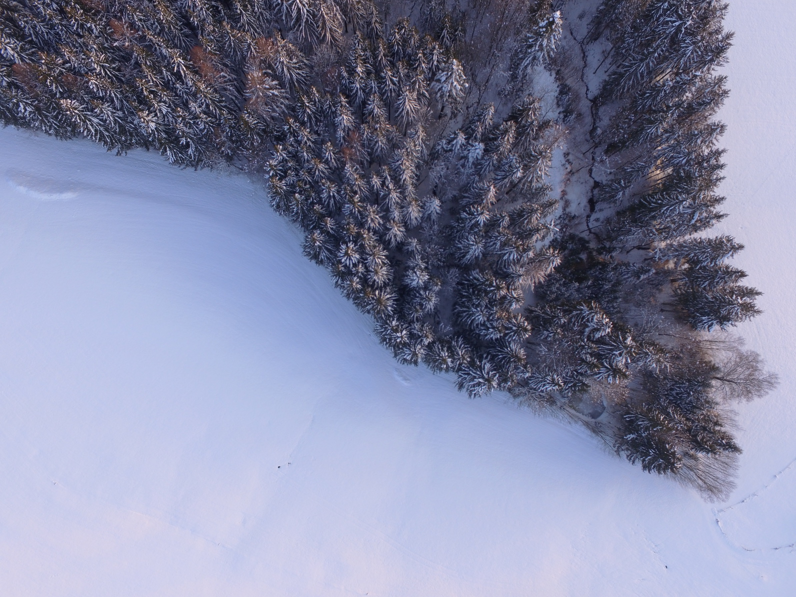 Winter landscape aerial