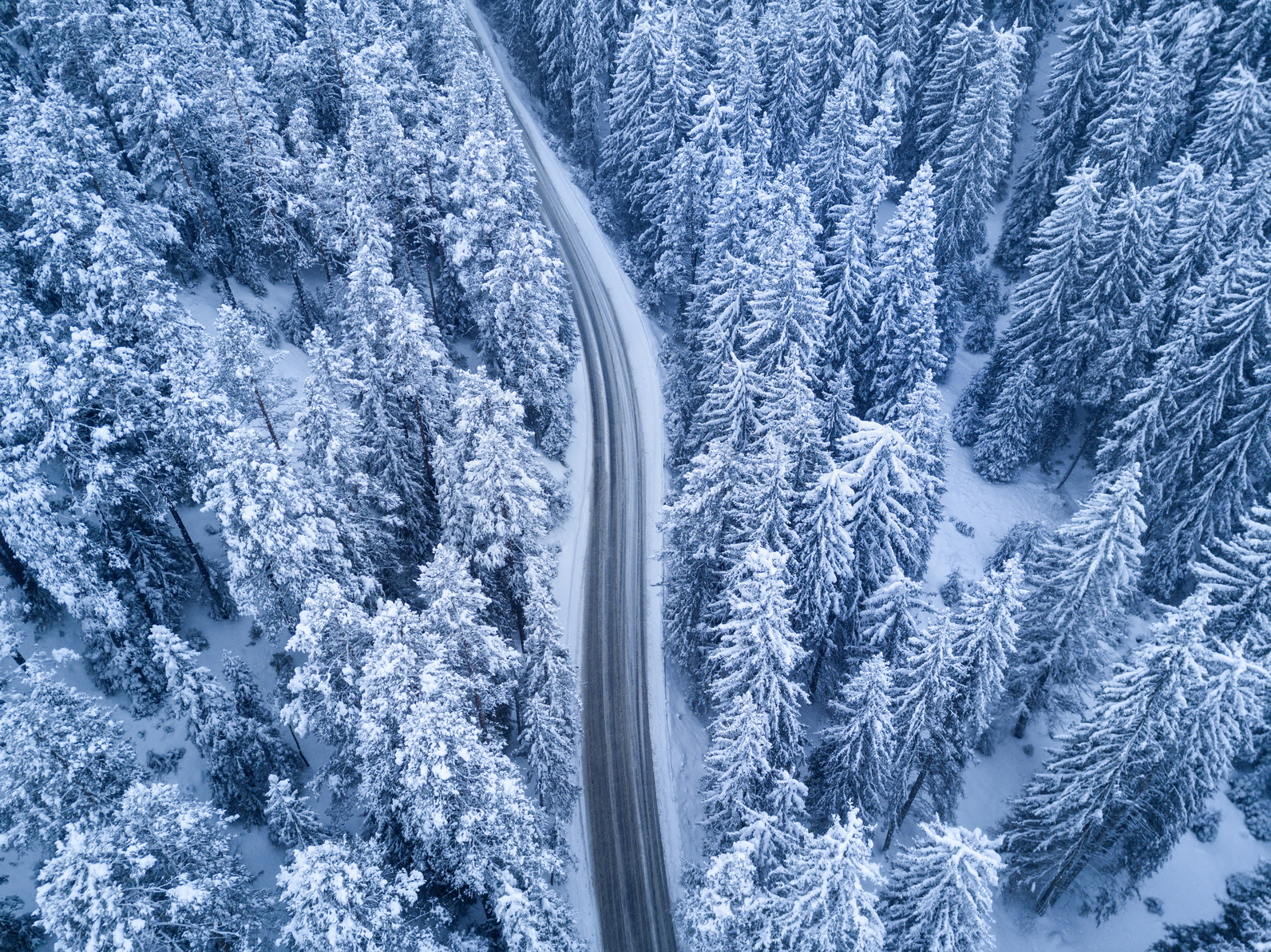 Top view of winter forest and Road