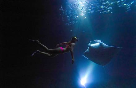 Wonderful Moment with Ray Manta