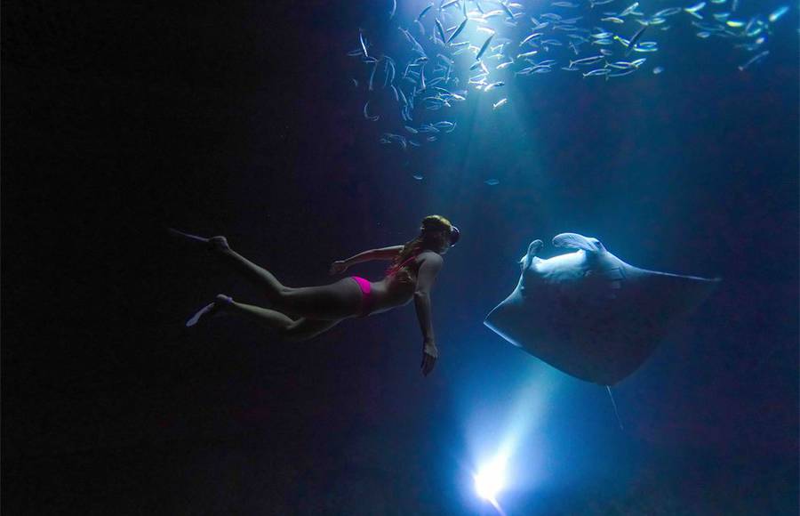 Wonderful Moment with Ray Manta