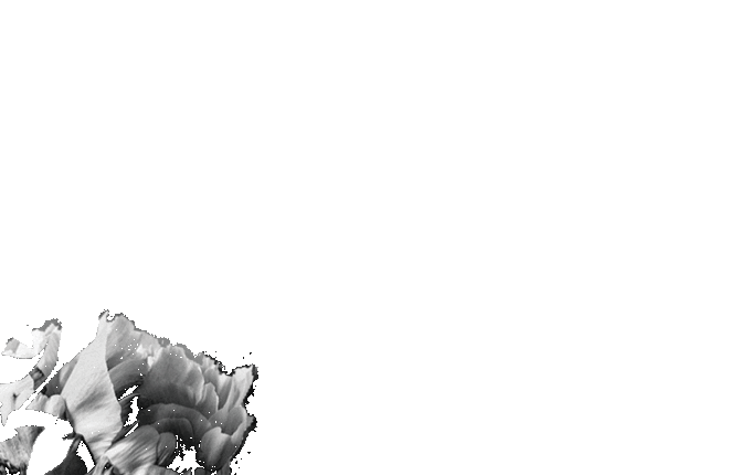 Poetic Black & White Animated Collages