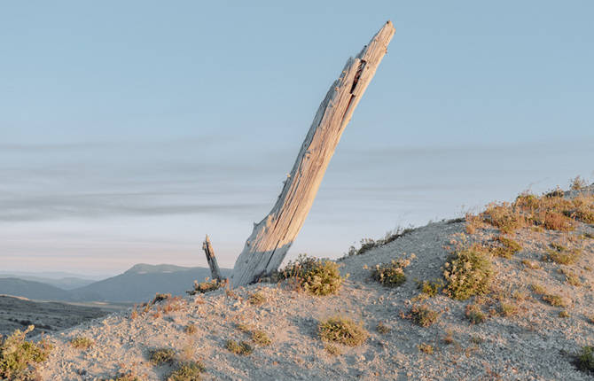 Resplendent Photographies of Emerald City