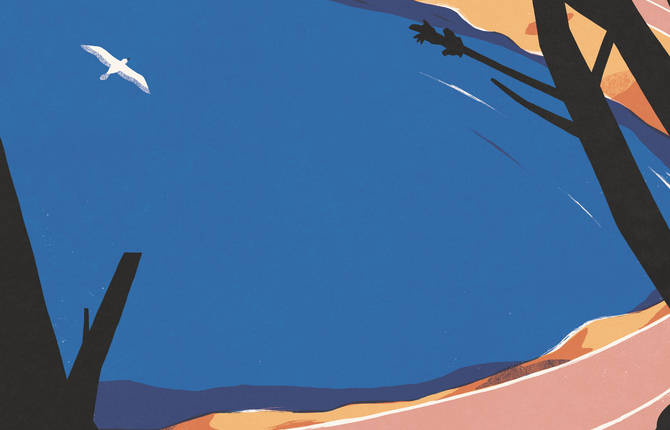 Colorful Illustrations by David Doran