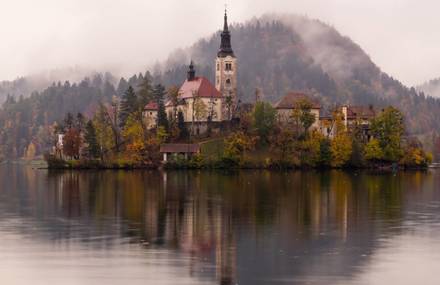 The Harmony of Fall
