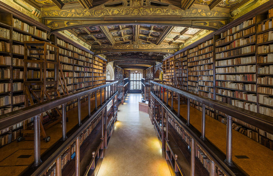 Stunning Pictures of the Oxford Library