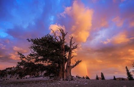 Unique Natural Phenomena in Pictures