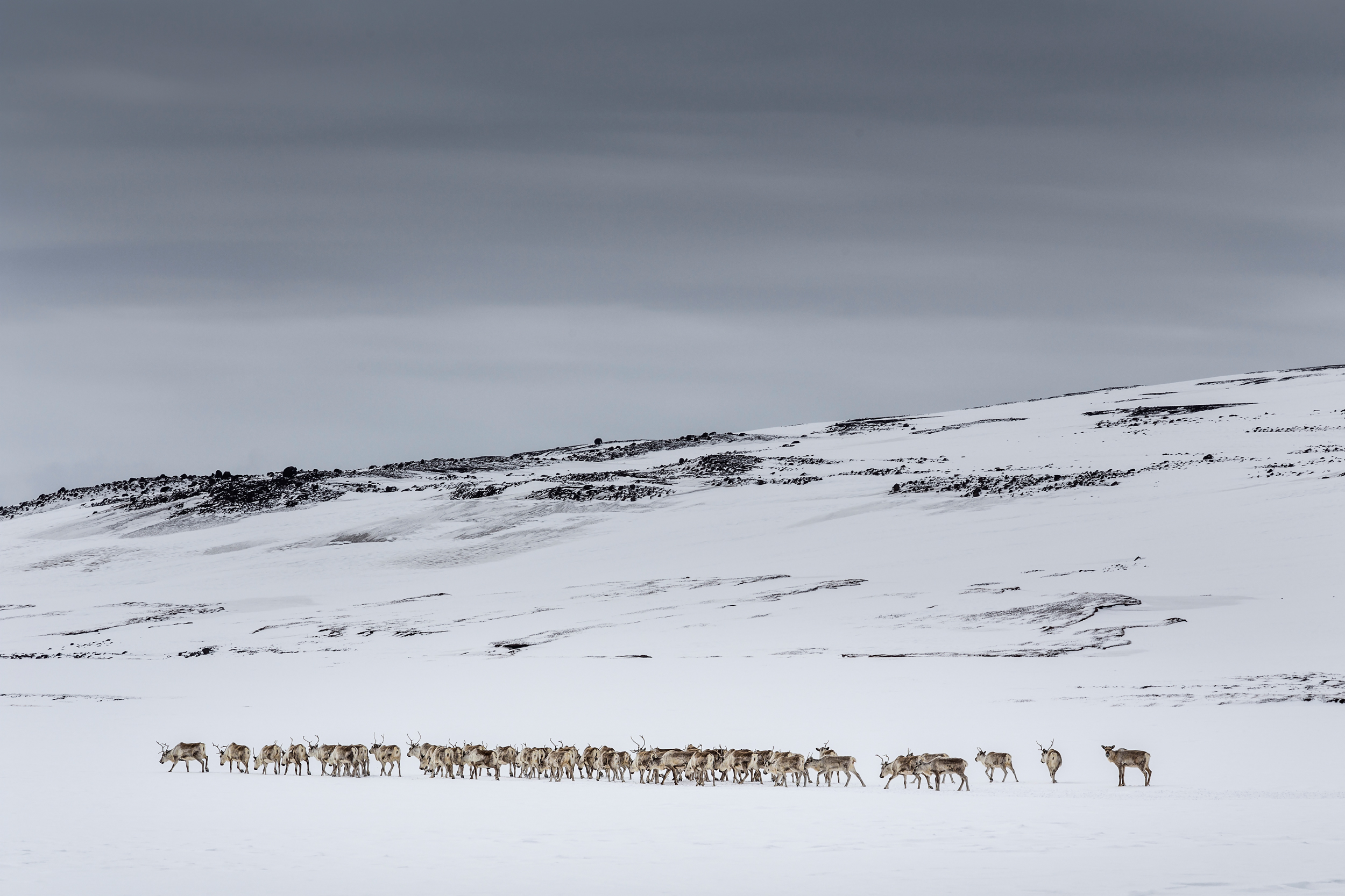 roadnr1iceland14