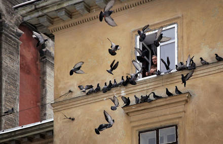 Exquisite Photographs of Saint Petersburg