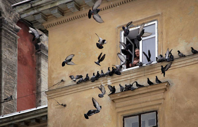 Exquisite Photographs of Saint Petersburg
