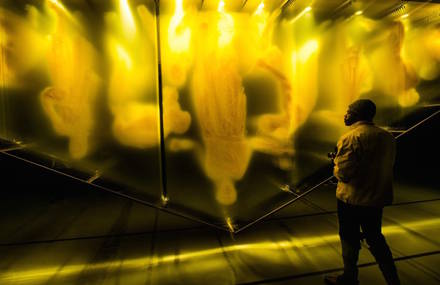 Golden Installations by David Spriggs