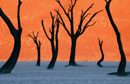 Colorful Photos of Namibia by Frank Lanting