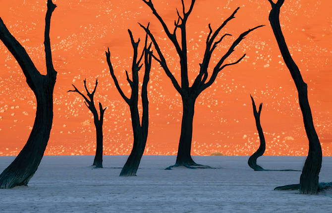 Colorful Photos of Namibia by Frank Lanting