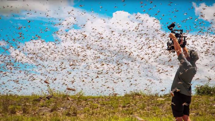 Unveiled BBC Technique to Make Planet Earth Viral