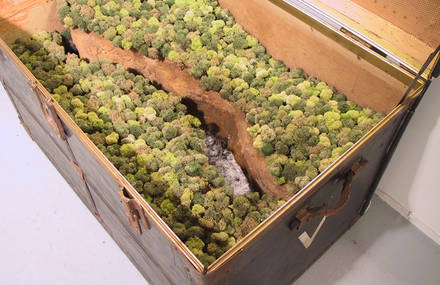 Beautiful Miniature Landscapes to Travel by Kathleen Vance