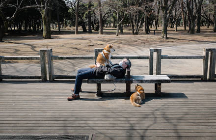 Delicate Photographs of Loneliness in Tokyo