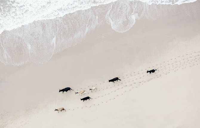Breathtaking Abstract Photographs by Zack Seckler