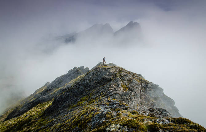 Wonderful Nature & Fog Photography
