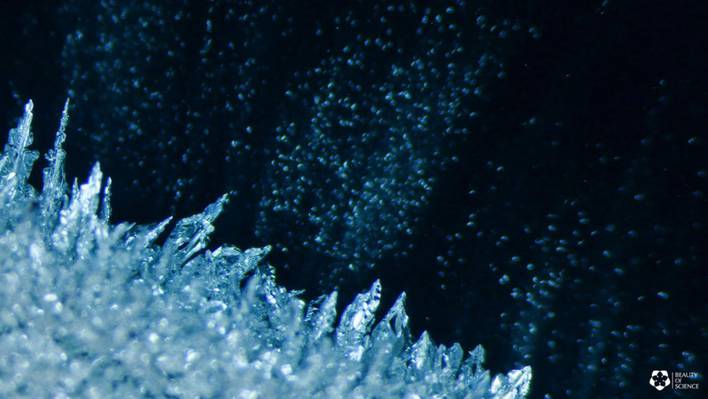 Stunning Cristal Formation Filmed thanks to a Microscope