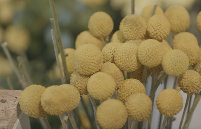 #LaMemePassion : Beautiful Floral Installation by Gil Boyard