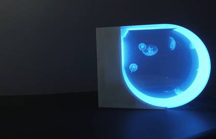 Stunning Futuristic Jellyfish Aquarium