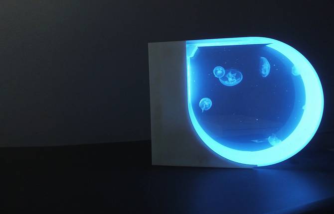 Stunning Futuristic Jellyfish Aquarium