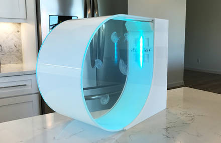 Stunning Futuristic Jellyfish Aquarium