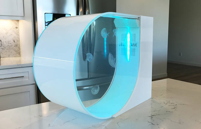 Stunning Futuristic Jellyfish Aquarium
