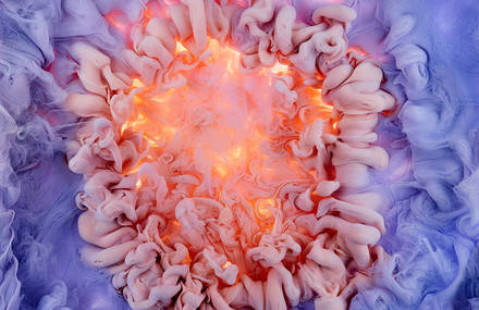 Colorful & Abstract Pictures of Dye Explosions