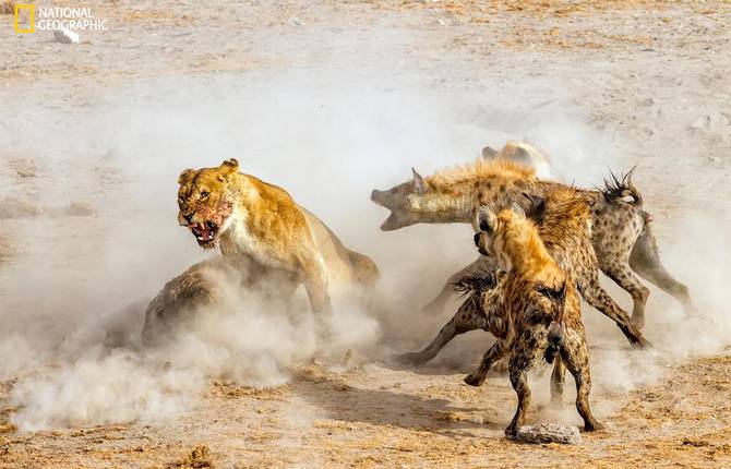 Best Nature Pictures Show the Majesty of our World