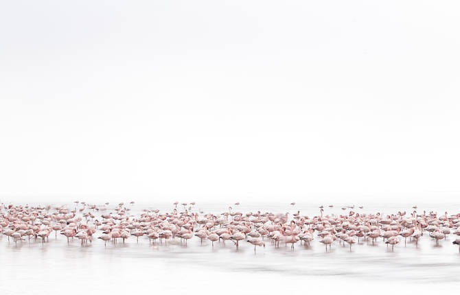 2017 Sony World Photography Awards Category Winners