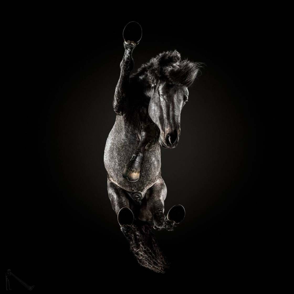 under horses photographer andrius burba - fubiz 4