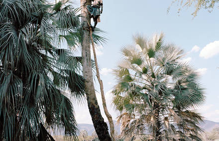 Strong Portraits of Himba People Tapping Palms