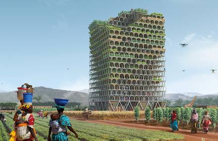 Mashambas, The Farm Skyscraper Project