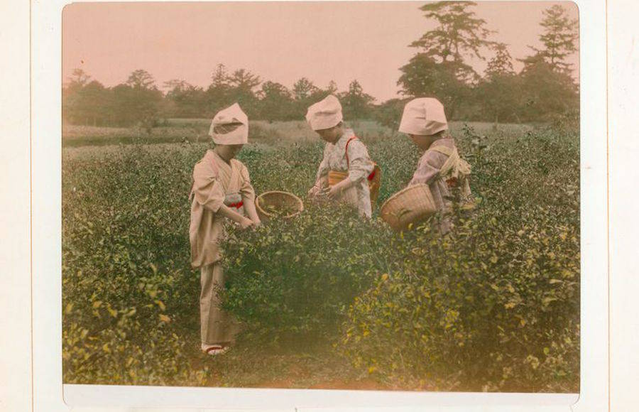 Historical Pictures from the Meji Era
