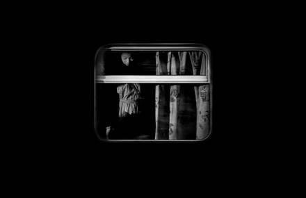 Brilliant Series of Trains and Passengers in Taiwan